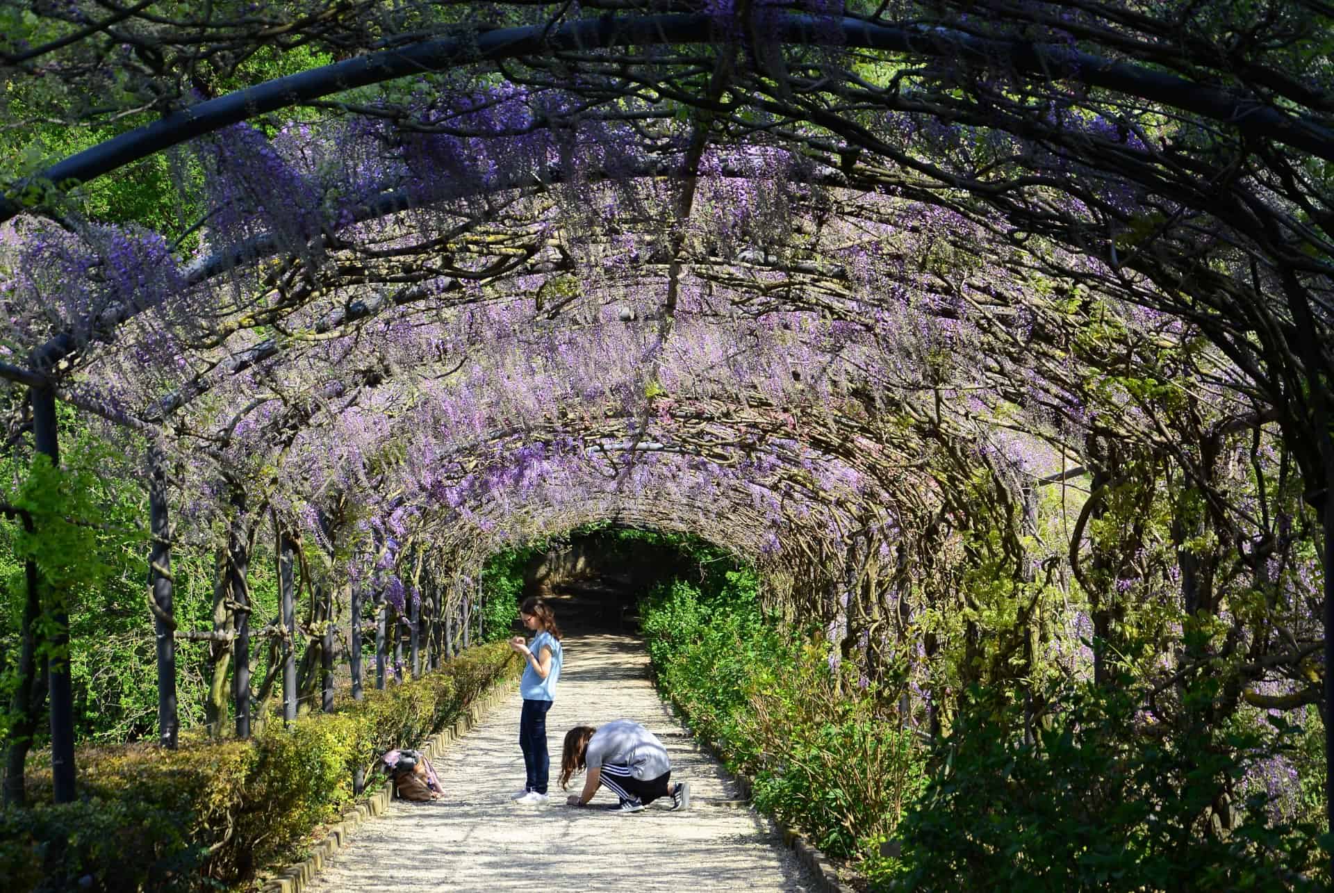 jardin bardini florence