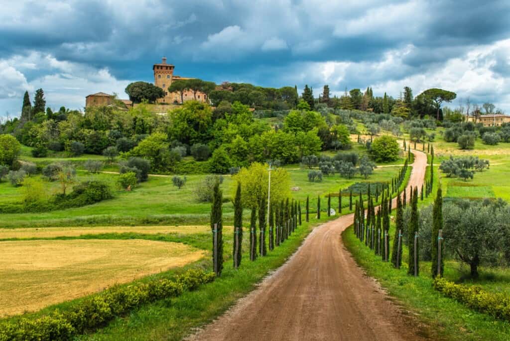 Visite des vignobles du Chianti