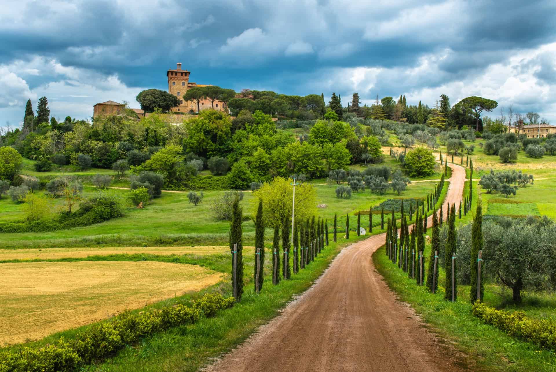 vignobles chianti