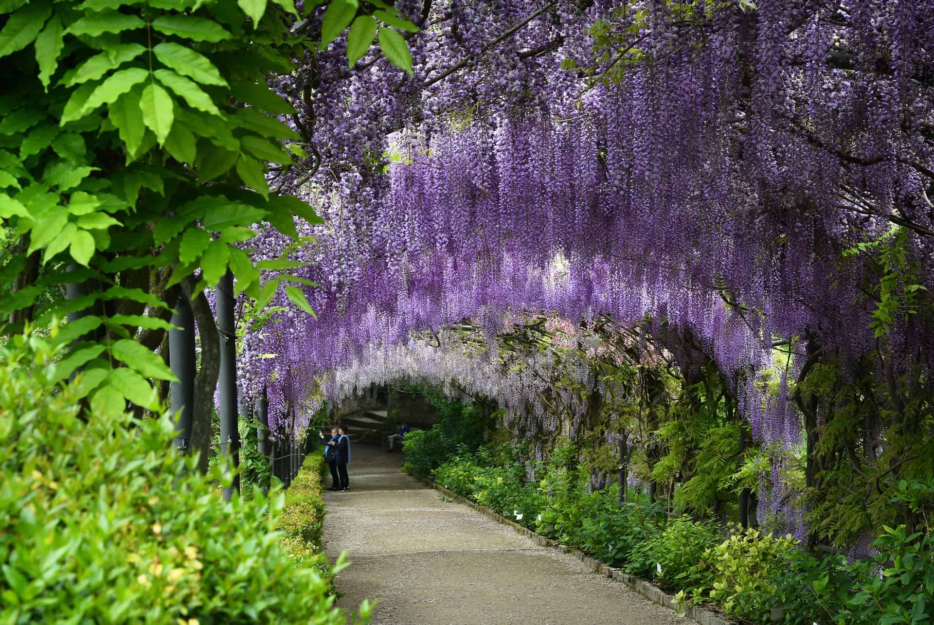 visiter florence en 3 jours jardins bardini
