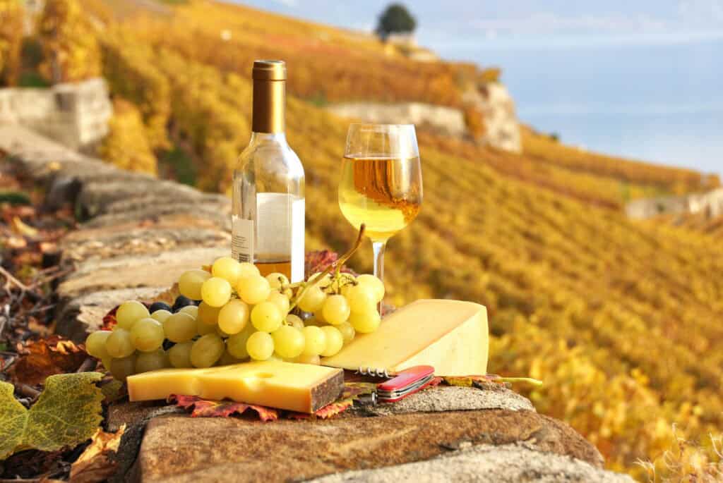 Dégustation de vins et visite des caves