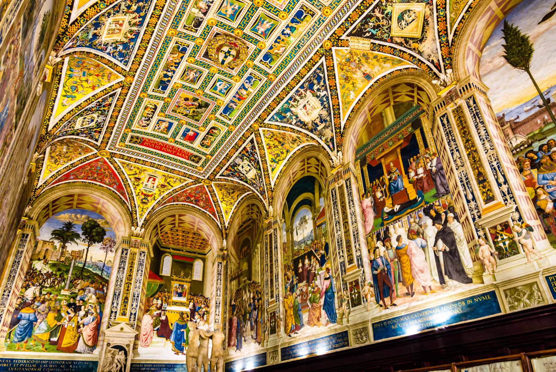 libreria piccolomini