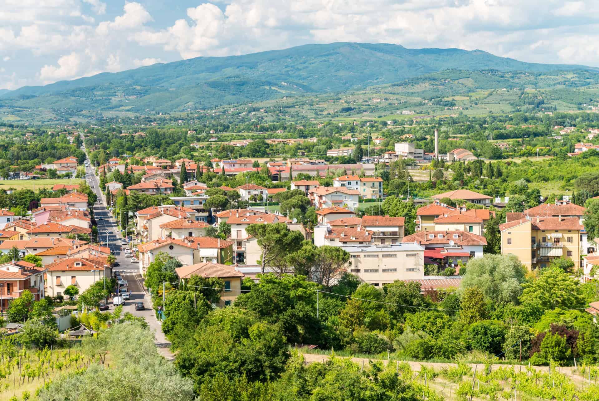 arezzo vue