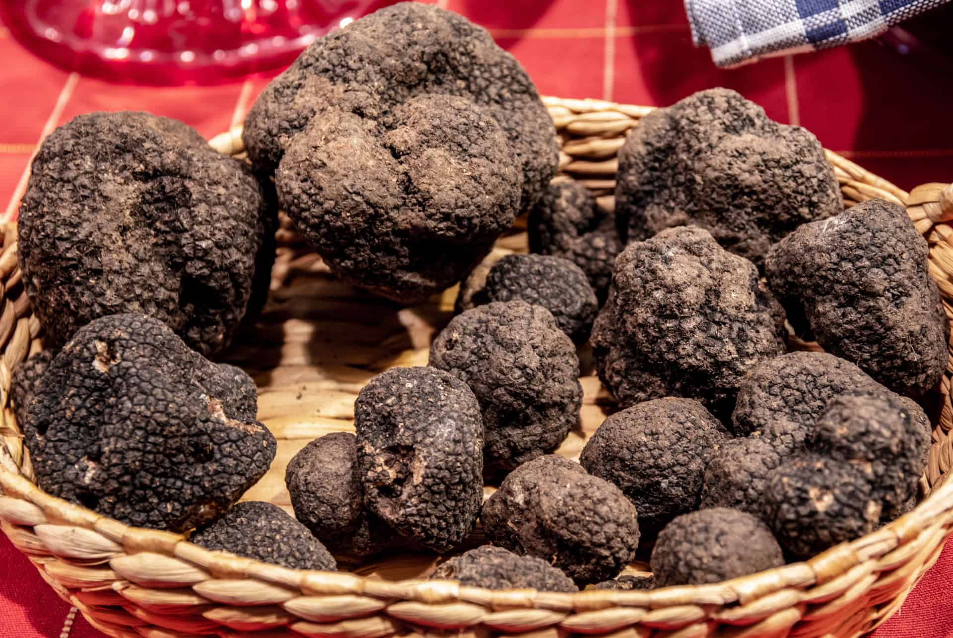 truffes toscane