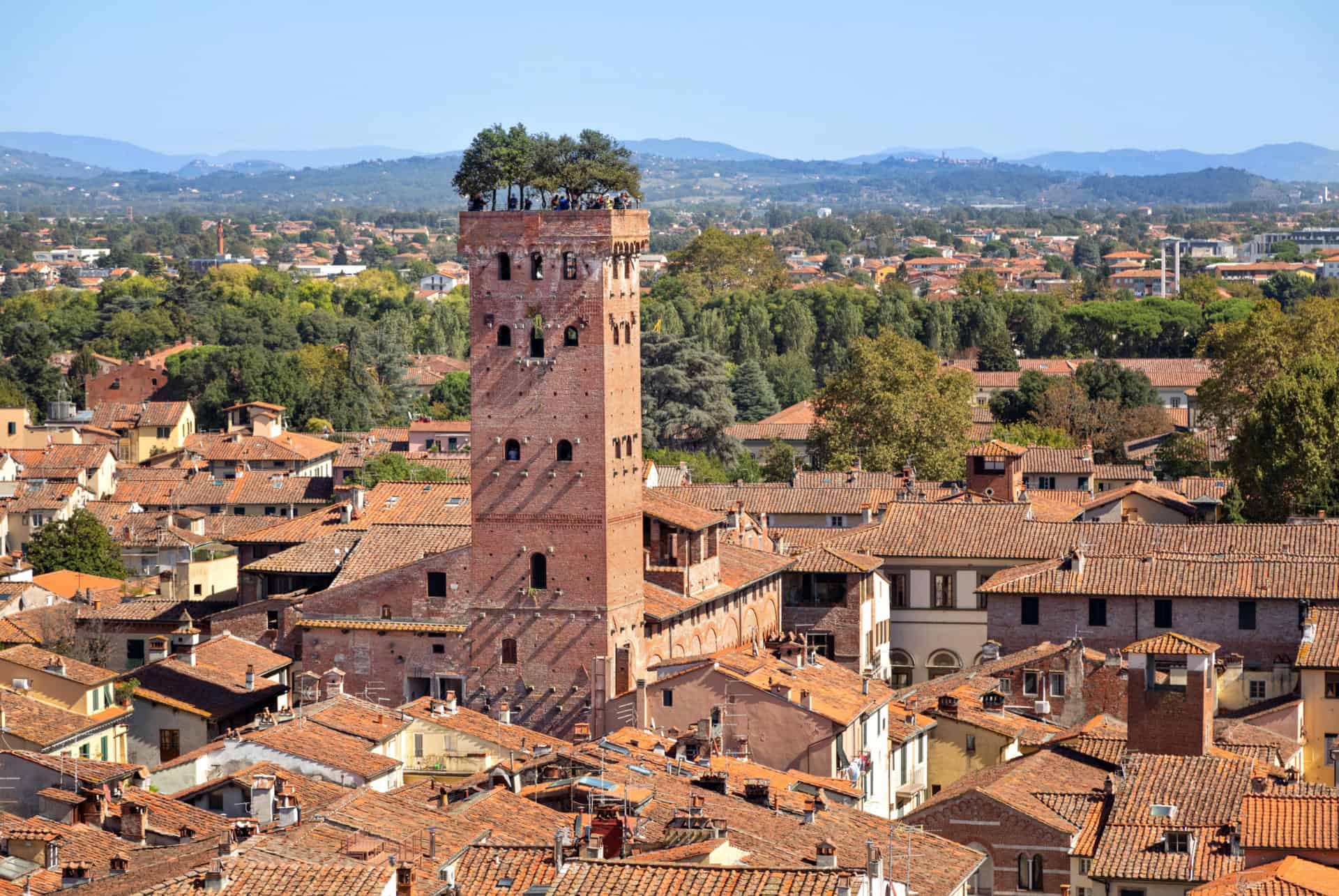 torre guinigi que faire lucques