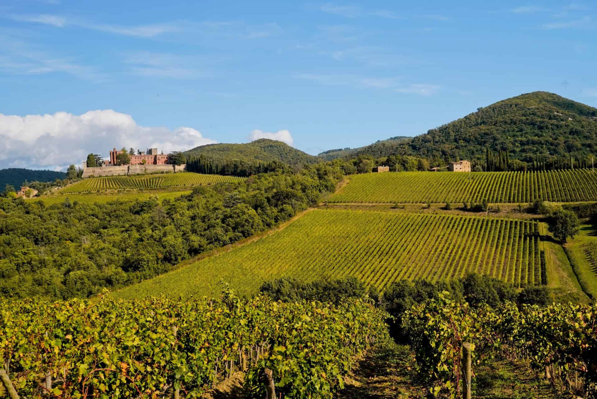 visiter vallee chianti vignes