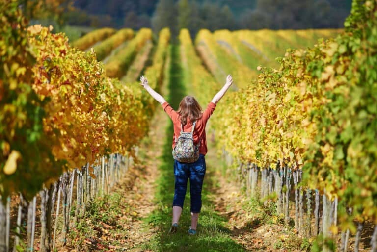 Visite du Val d'Orcia avec dégustation de vins