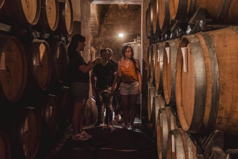 Dégustation de vin et collations dans un château toscan 