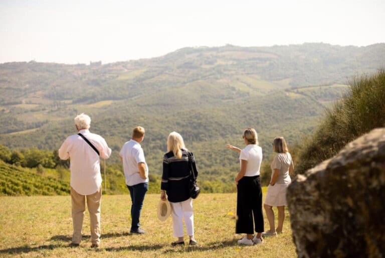 Visite guidée des vignobles avec dégustation