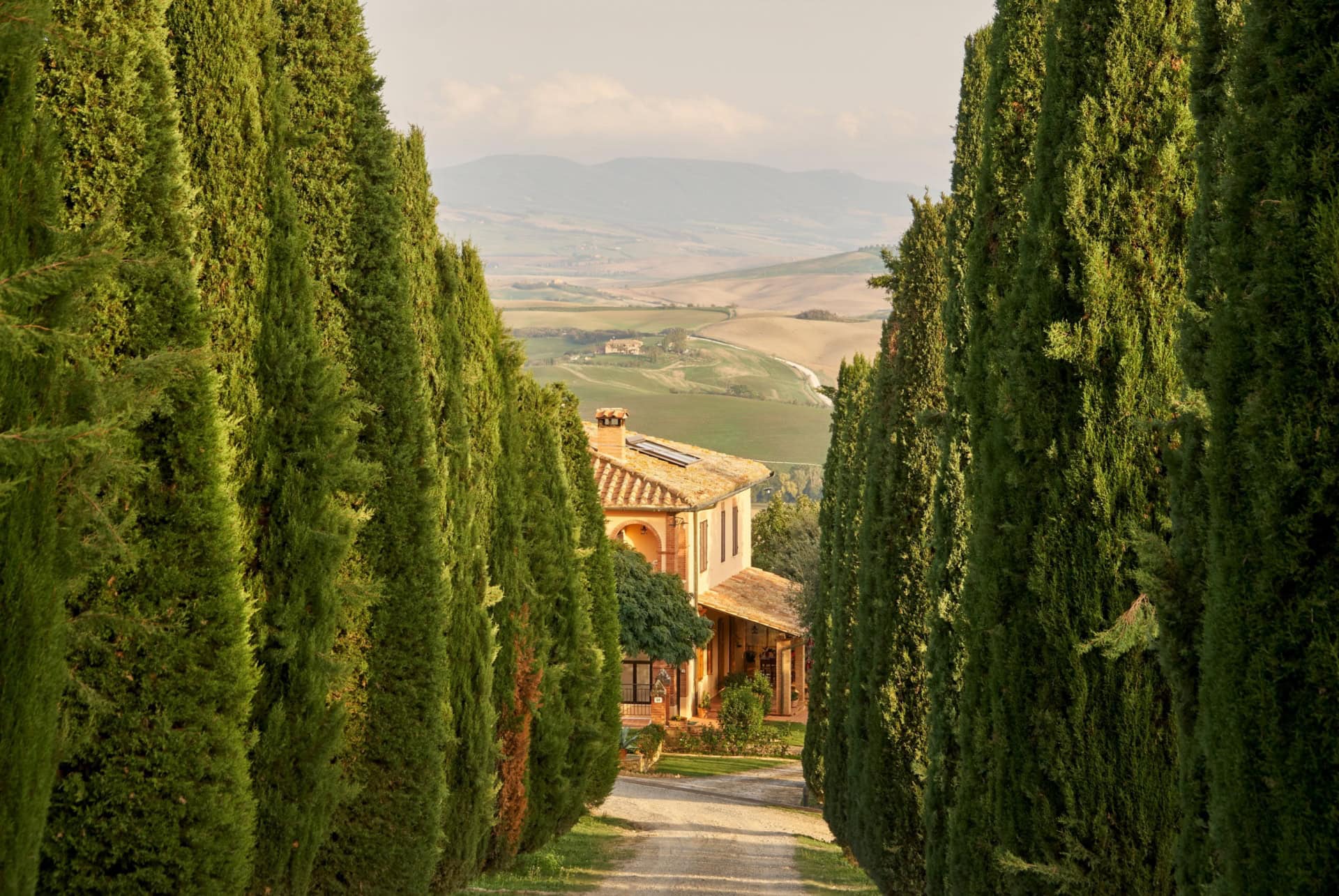 campagne autour de pienza campagne autour de pienza