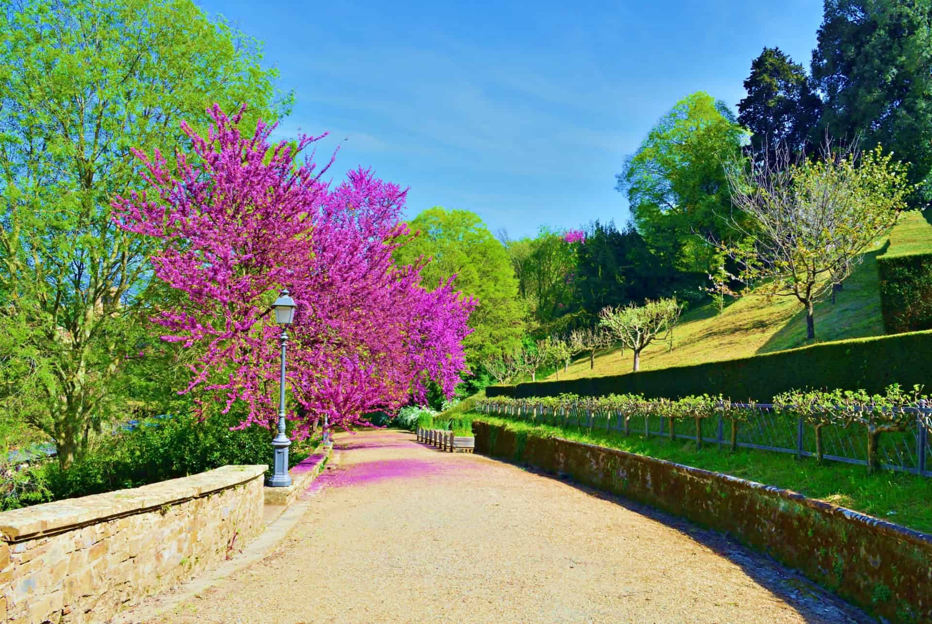 jardin florence