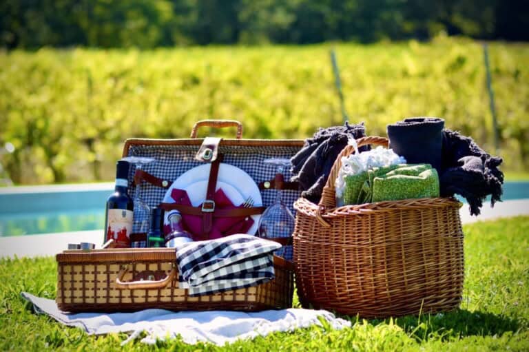 Visite de vignobles, dégustation et pique-nique