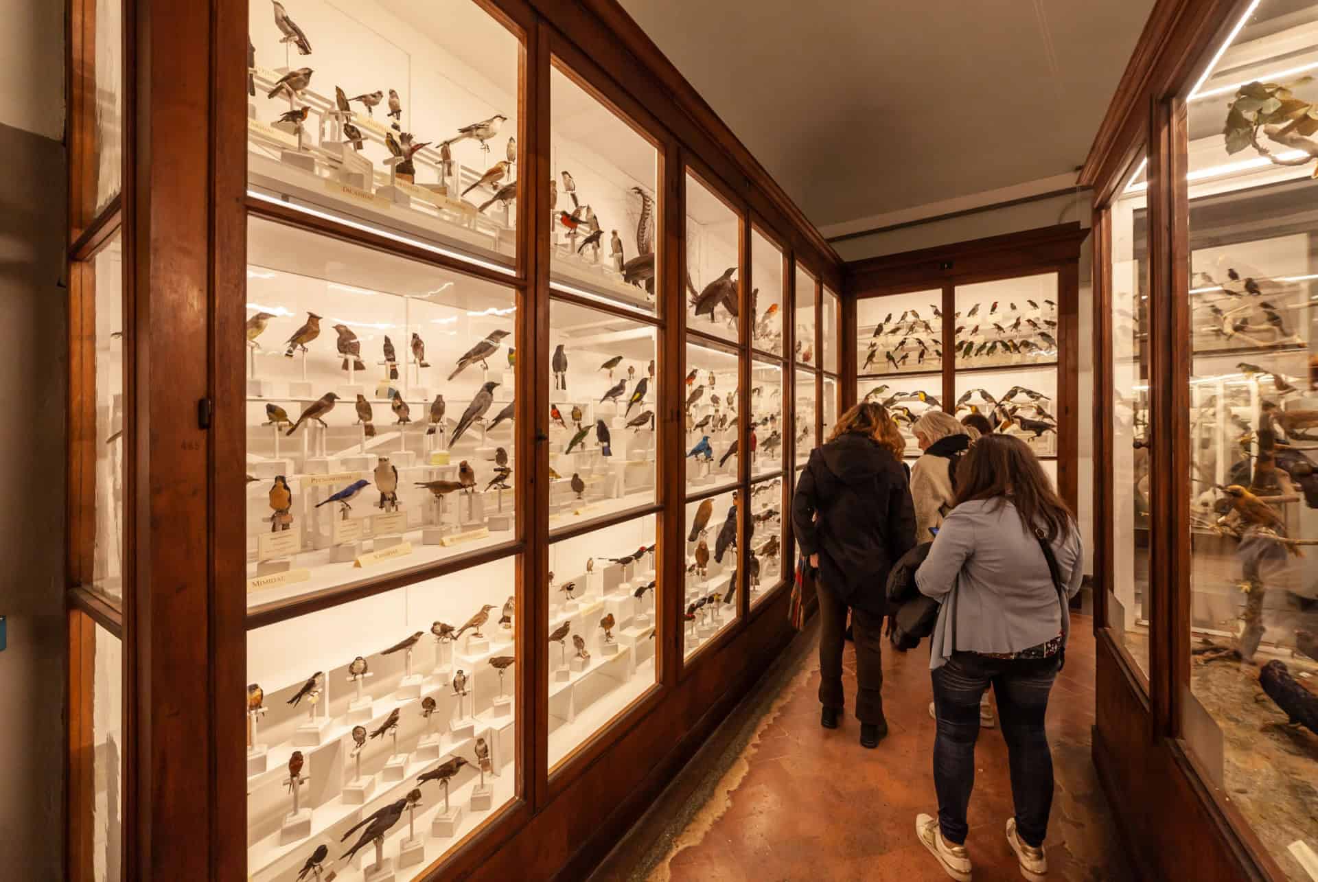 horaire musee histoire naturelle