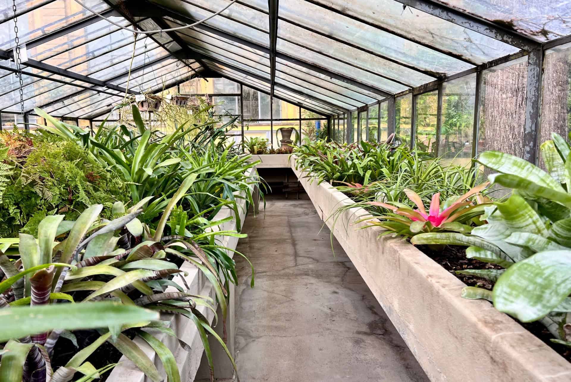 plantes giardino dei semplici