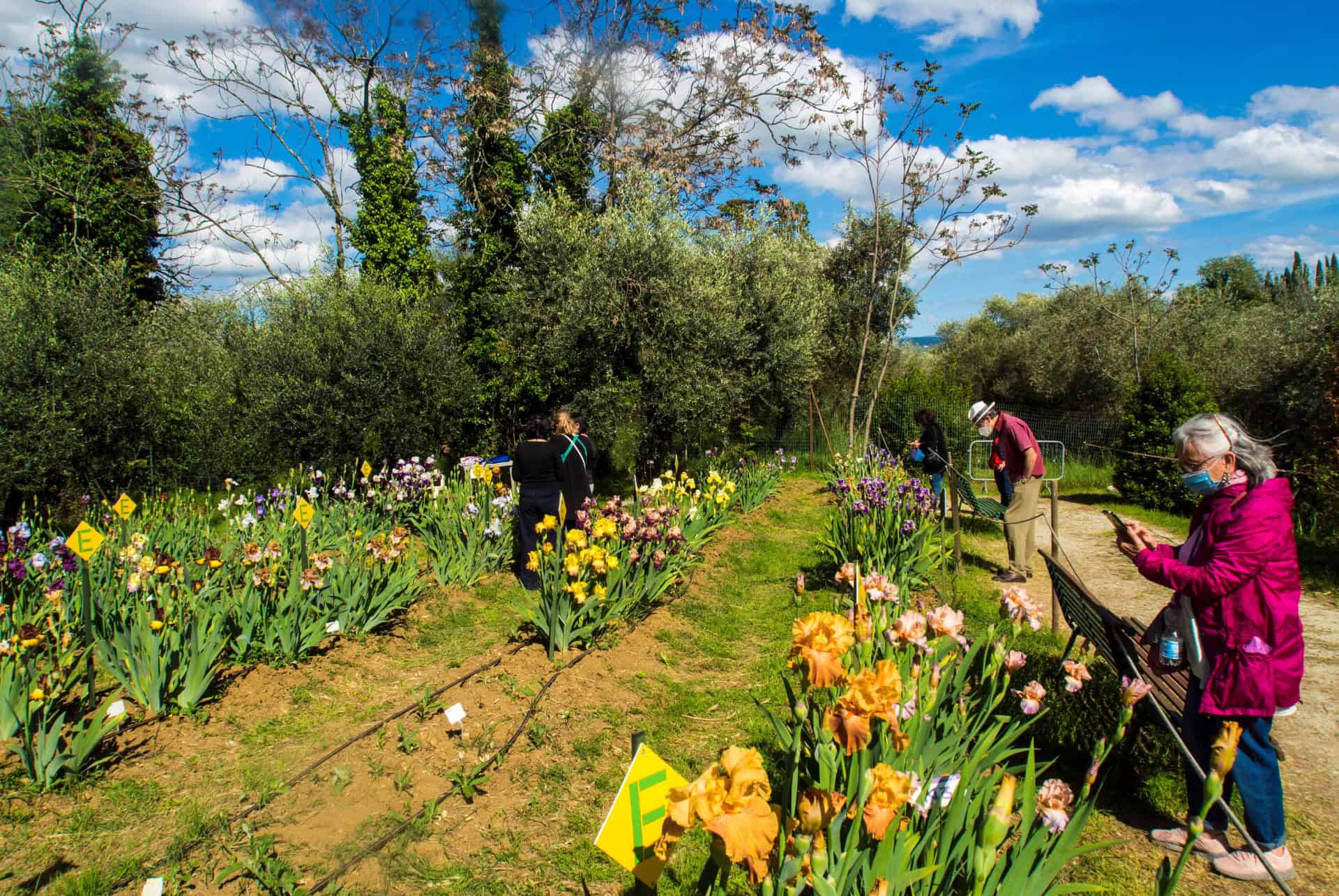 giardino dell iris plus beaux parcs et jardins florence giardino dell iris plus beaux parcs et jardins florence