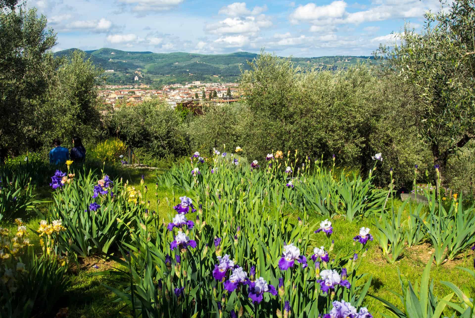 giardino dell iris giardino dell iris